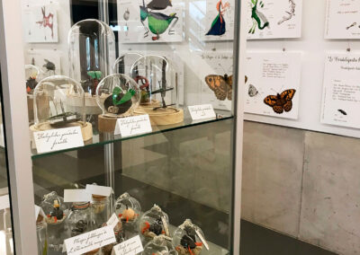 Nom d'un insecte ! - Exposition à Pierresvives - Montpellier - vitrine- Mathilde Magnan et Aporia Culture