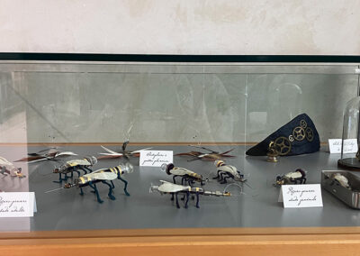 Nom d'un insecte&nbsp;! - Exposition à la médiathèque du Pays viganais - Le Vigan - vitrine- Mathilde Magnan