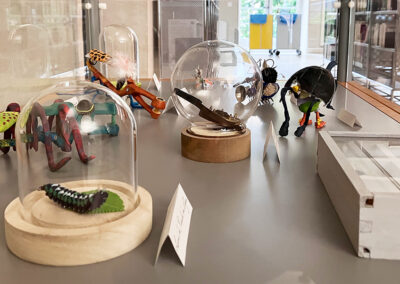 Nom d'un insecte&nbsp;! - Exposition à la médiathèque du Pays viganais - Le Vigan - vitrine- Mathilde Magnan