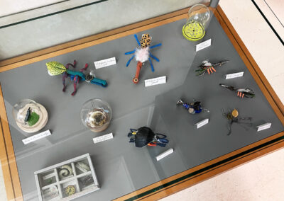 Nom d'un insecte&nbsp;! - Exposition à la médiathèque du Pays viganais - Le Vigan - vitrine- Mathilde Magnan