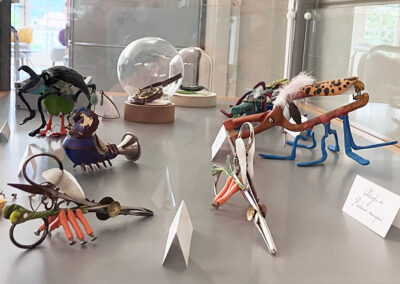 Nom d'un insecte&nbsp;! - Exposition à la médiathèque du Pays viganais - Le Vigan - vitrine- Mathilde Magnan