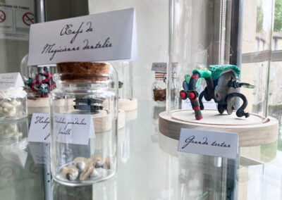 Nom d'un insecte&nbsp;! - Exposition à la médiathèque du Pays viganais - Le Vigan - vitrine- Mathilde Magnan