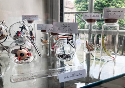 Nom d'un insecte&nbsp;! - Exposition à la médiathèque du Pays viganais - Le Vigan - vitrine- Mathilde Magnan