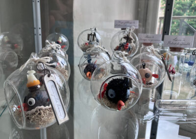 Nom d'un insecte&nbsp;! - Exposition à la médiathèque du Pays viganais - Le Vigan - vitrine- Mathilde Magnan
