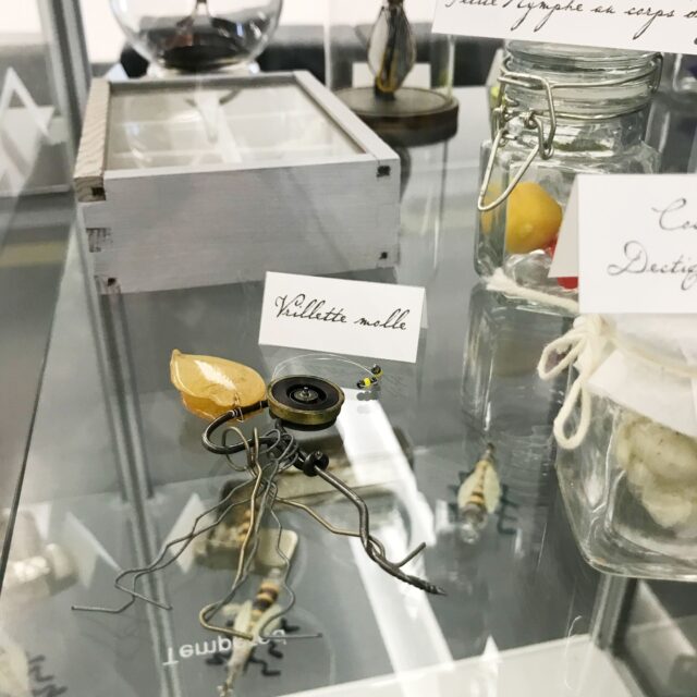 Mardi 24 j’étais à la médiathèque départementale de @pierresvives.herault à Montpellier dans le cadre de Partir en livre 2025. 

J’y ai fait deux rencontres autour de mon album "Insectoïdus", profitant de ce que l’exposition "Nom d’un Insecte !" y soit déjà installée et pour cette journée j’ai exposé mes petites bestioles du Cabinet de curiosité qui ont pu sortir pour la première fois de leurs étagères et êtres contemplées par tout le public et personnel de la médiathèque tout au long de la journée !

Les grandes planches sont encore visibles jusqu’au 5 juillet, n’hésitez pas à y faire un tour, il y fait frais (ce qui ne gâche rien ;) ).

Merci à Pascale et Pauline et à tout le personnel de la médiathèque pour votre accueil et votre enthousiasme autour de ces petits insectes !

#insectoïdus #nomduninsecte #aporiaculture #cabinetdecuriosités #pierresvives #exposition