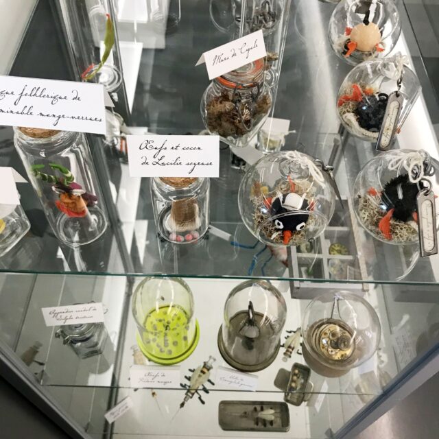 Mardi 24 j’étais à la médiathèque départementale de @pierresvives.herault à Montpellier dans le cadre de Partir en livre 2025. 

J’y ai fait deux rencontres autour de mon album "Insectoïdus", profitant de ce que l’exposition "Nom d’un Insecte !" y soit déjà installée et pour cette journée j’ai exposé mes petites bestioles du Cabinet de curiosité qui ont pu sortir pour la première fois de leurs étagères et êtres contemplées par tout le public et personnel de la médiathèque tout au long de la journée !

Les grandes planches sont encore visibles jusqu’au 5 juillet, n’hésitez pas à y faire un tour, il y fait frais (ce qui ne gâche rien ;) ).

Merci à Pascale et Pauline et à tout le personnel de la médiathèque pour votre accueil et votre enthousiasme autour de ces petits insectes !

#insectoïdus #nomduninsecte #aporiaculture #cabinetdecuriosités #pierresvives #exposition