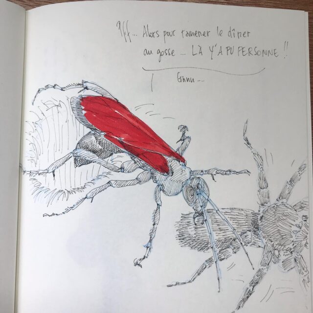 Insektober jour 3 :

La Guêpe à Mygale aux ailes rouges

Avec l’ @opie_insectes 

#insektober #insektober2025 #insectagram #guepeamygale #pepsisrubra #jevaischasserlediner #ilresteunpeudemygalejevouslmetsavec #opieinsectes