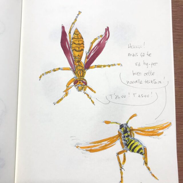 Insektober jour 6 :

La Guêpe réunionnaise avec l’ @opie_insectes 

#insektober #insektober2025 #insectagram #guepereunionaise #polistesolivaceus #jaunepower #opieinsectes