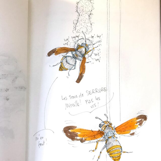 Insektober jour 10 : 

La Guêpe trou de serrure 

Avec l’ @opie_insectes 

#insektober #insektober2025 #insectagram #guepetroudeserrure #pachodynerusnasidens #menfout #opieinsectes