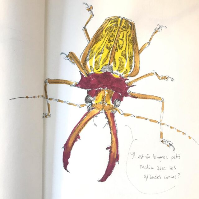 Insektober jour 13 :

Le Capricorne à dents de sabre 

Avec l’ @opie_insectes 

#insektober #insektober2025 #insectagram #capricorneadentsdesabre #macrodontiacervicornis #çacestdescornes? #çacestdescornes #onfaitmoinslemalin