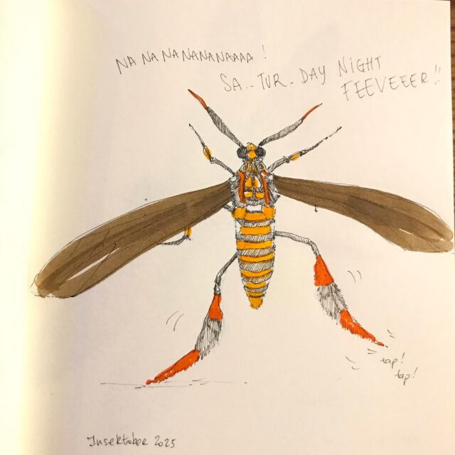 Insektober jour 26 :

Le Papillon guêpe

Avec l’ @opie_insectes 

#insektober #insektober2025 #insektagram #papillonguepe #horamapanthalon #saturdaynightfever #patdefstyle #opieinsectes