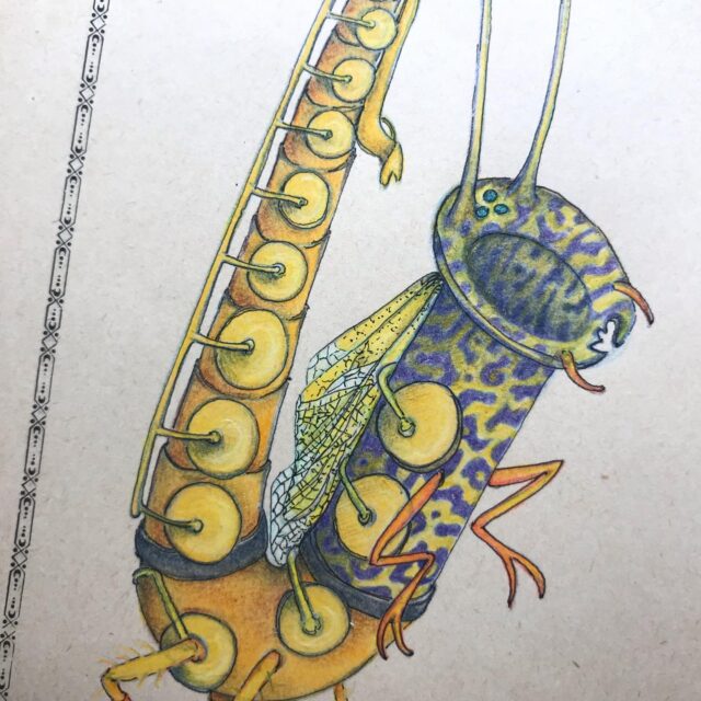 Suite et approfondissement de mon projet sur les insectes musiciens 🪳!
Ces petits n’ont pas encore de nom, mais ça ne saurait tarder… 
Ils sont la troisième espèce que je mets au point, je vous présenterai bientôt les deux précédentes&nbsp;!

Une presque suite à Insectoïdus, qui a conquis le jury d’ @occitanielivre que je remercie infiniment et qui est partie à la recherche d’une maison d’édition accueillante 🤞🤞.

#entomomusik #insectesimaginaires #insectoïduslasuite #musicalidus #pouet #lespattesdecanaaaaaaaaaaaaaaaard #cuivrefamily