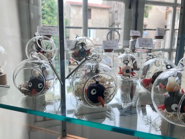 À partir d’aujourd’hui, lundi 4, et jusqu’au 31 mai vous pouvez venir voir de près la foultitude de bestioles qui peuplent l’exposition « Nom d’un insecte&nbsp;! » 🐛 à la médiathèque du Pays viganais (Le Vigan 30120)&nbsp;!

Tout l’univers du livre « Insectoïdus » y est présent, du cabinet de curiosités derrière les vitrines, aux grands panneaux tirés de 10 insectes du livre, diffusés par @aporiaculture&nbsp;!

Vous pourrez approcher de près le Réduve masqué femelle, tout un tas de Poissons pilotes divers zet variés, des Zygènes de la Filipendule en plein repas, et bien d’autres invités surprises comme la famille des Pique prune&nbsp;!
Et une légende dit que quand la nuit tombe et que la lumière s’éteint, certains se mettent à briller….

Cette exposition se déroule dans le cadre de la 13e édition des @leseclatsdelire qui aura lieu à la fin du mois du 29 au 31 mai&nbsp;!
Je vous en dis plus tout bientôt&nbsp;!!

#exposition #nomduninsecte! #nomduninsecte #insectoïdus #aporiaculture #leseclatsdelire #scopterrevivante #médiathéquedupaysviganais