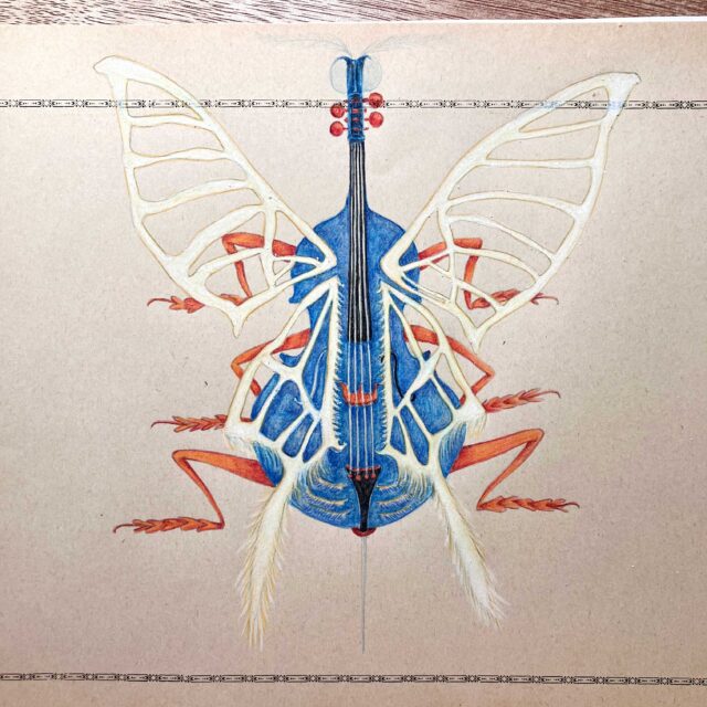 Dernier insecte&nbsp;: Le Vrombitchello stridulant&nbsp;! Vue de dessus et vue de dessous.
Il vient rejoindre ses petits copains : la Cornemusette pfointante, le Chanillonéon flonflonant, l’Hélitrompifonne soufflotante et le Tambourrineur ronchonant :)

Cette petite famille est toujours à la recherche d’une maison d’édition accueillante ! 

#entomomusik #insectesimaginaires #insectoïduslasuite #musicalidus #ptitepizz