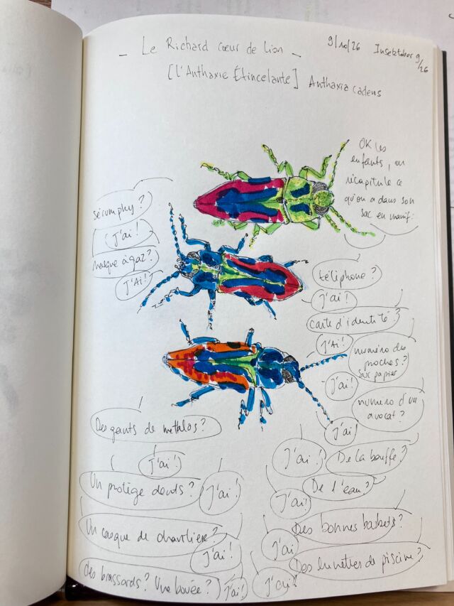Insektober jour 9:

Le Richard cœur de lion. (Déso j’ai oublié un « n » à candens)

Check-liste avec ses ados…

Avec l’ @opie_insectes 

#insektober2026 #anthaxiacandens #panopliedumanifestant #chacundenousestconcerné #onveutlebacpaslabac