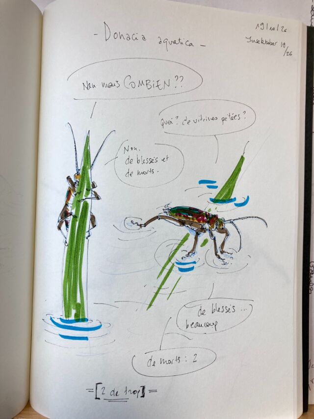 Insektober jour 19

Le Donacia aquatiqua. Qui compte.

2 de trop.

Avec l’ @opie_insectes 

#insektober2026 #donaciaaquatica #wtf #maisàpartçaçacouinepourdesobjets #deuxdetrop