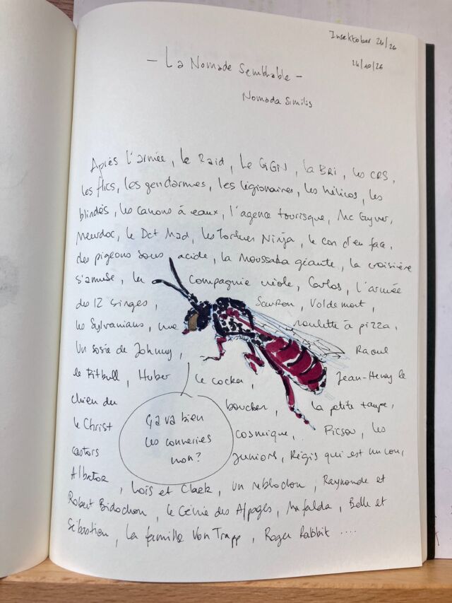 Insektober jour 24

La Nomade semblable. Qui a fait la liste des invités aux festivités du jour.

Avec l’ @opie_insectes 

#insektober2026 #nomadasimilis #sansoublierclaudeberry #nirintintin #nichantalgoyanonplus